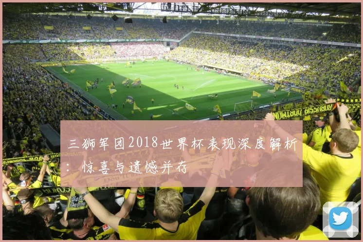三狮军团2018世界杯表现深度解析:惊喜与遗憾并存