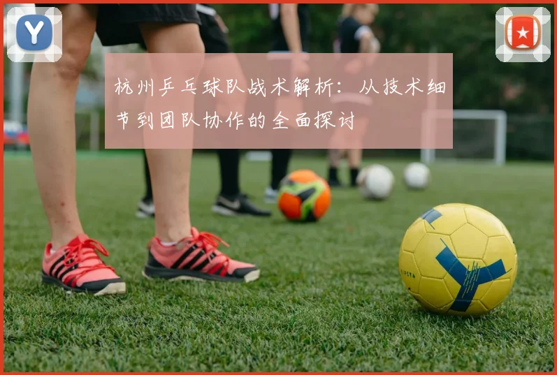 杭州乒乓球队战术解析：从技术细节到团队协作的全面探讨