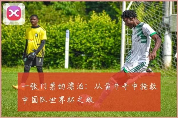 一张门票的漂泊：从黄牛手中抢救中国队世界杯之旅