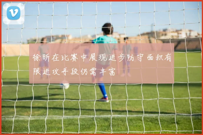 徐昕在比赛中展现进步防守面积有限进攻手段仍需丰富