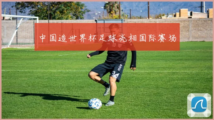 中国造世界杯足球亮相国际赛场