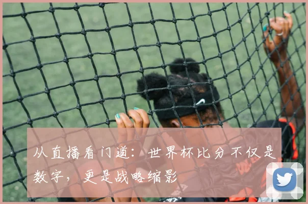 从直播看门道：世界杯比分不仅是数字，更是战略缩影