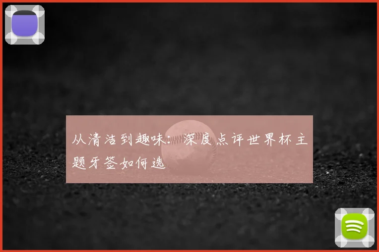 从清洁到趣味：深度点评世界杯主题牙签如何选