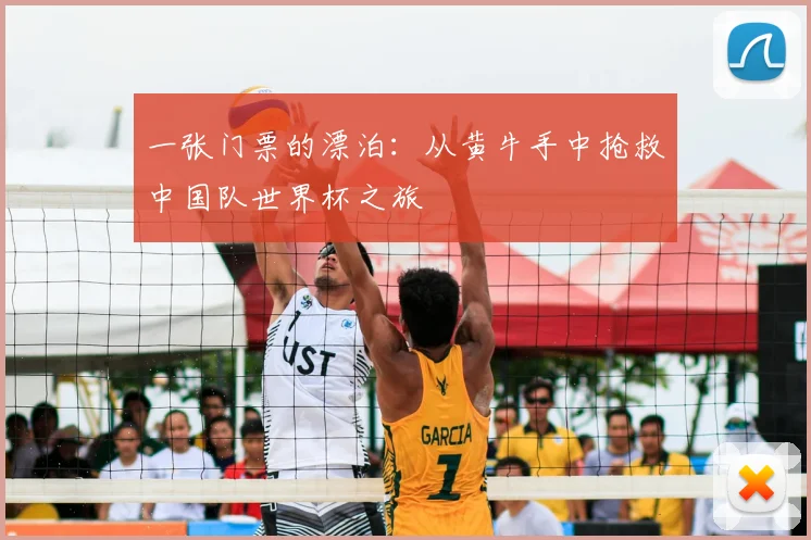 一张门票的漂泊：从黄牛手中抢救中国队世界杯之旅