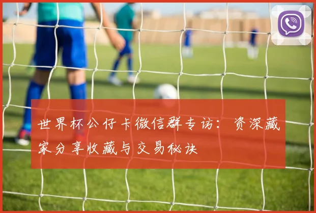 世界杯公仔卡微信群专访：资深藏家分享收藏与交易秘诀