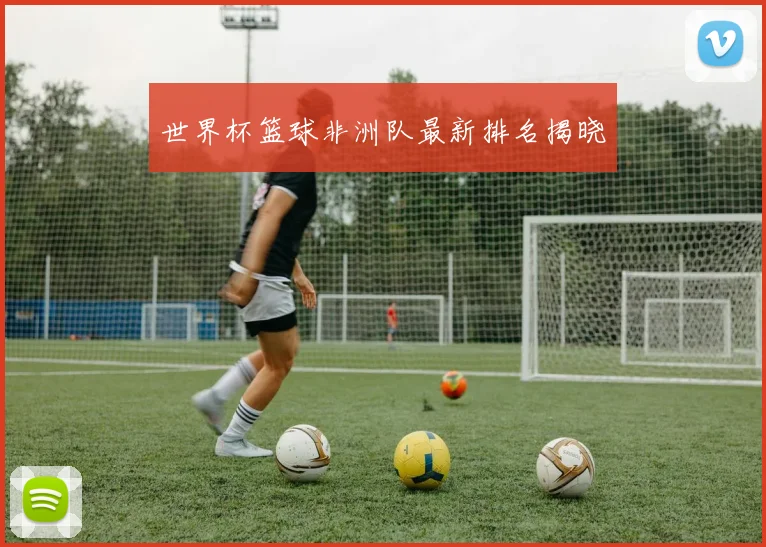 世界杯篮球非洲队最新排名揭晓