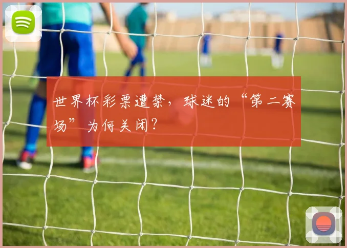 世界杯彩票遭禁，球迷的“第二赛场”为何关闭？