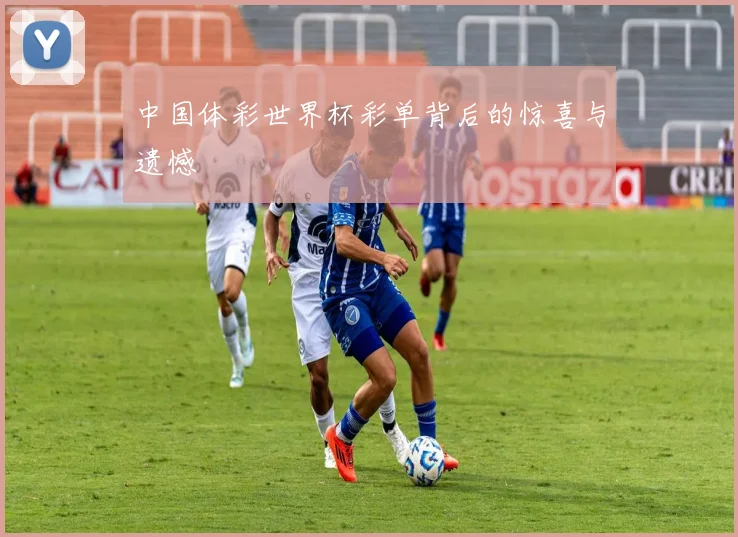 中国体彩世界杯彩单背后的惊喜与遗憾
