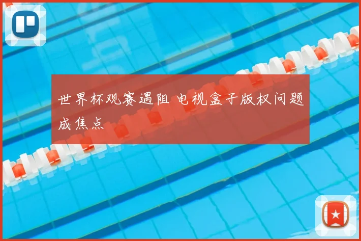 世界杯观赛遇阻 电视盒子版权问题成焦点